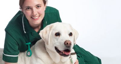 Views sought on canine epilepsy therapies